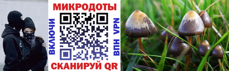 Псилоцибиновые грибы мицелий  как найти закладки  блэк спрут маркетплейс  Кимовск 