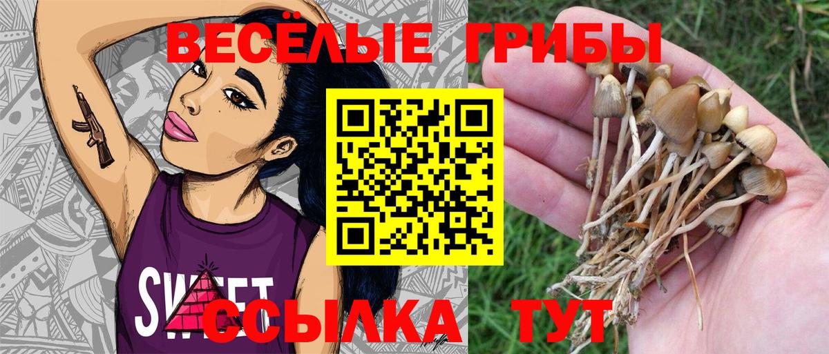 Псилоцибиновые грибы MAGIC MUSHROOMS Кимовск