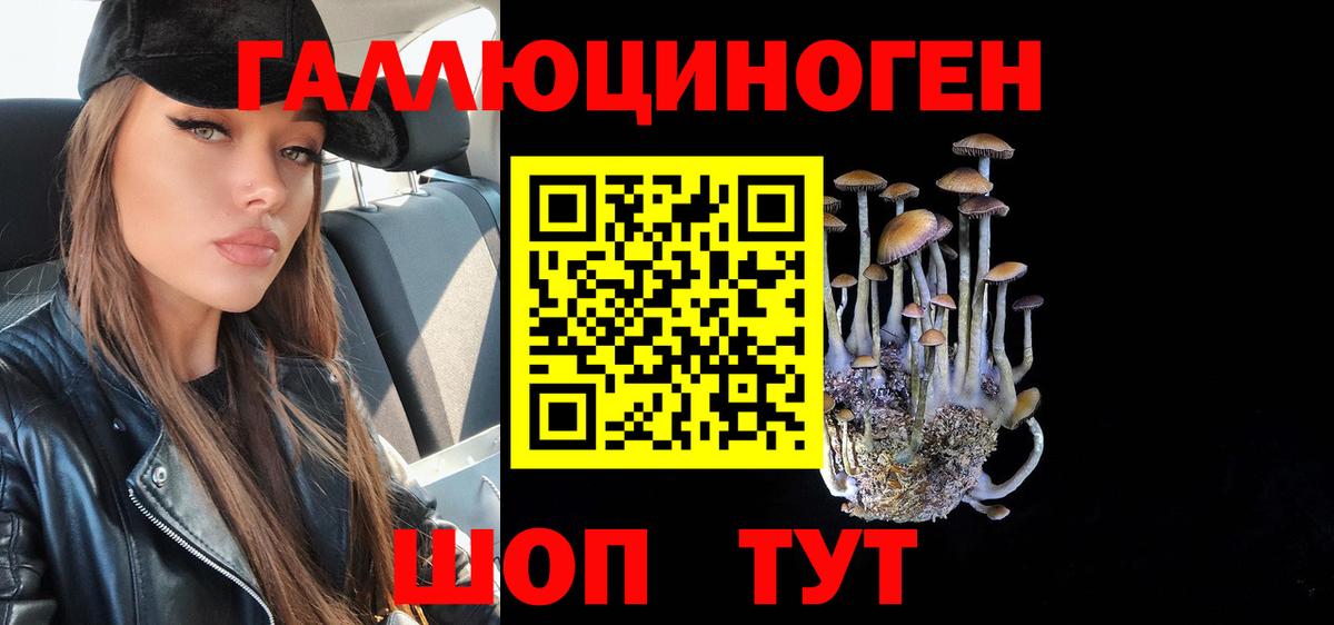 Псилоцибиновые грибы прущие грибы Кимовск