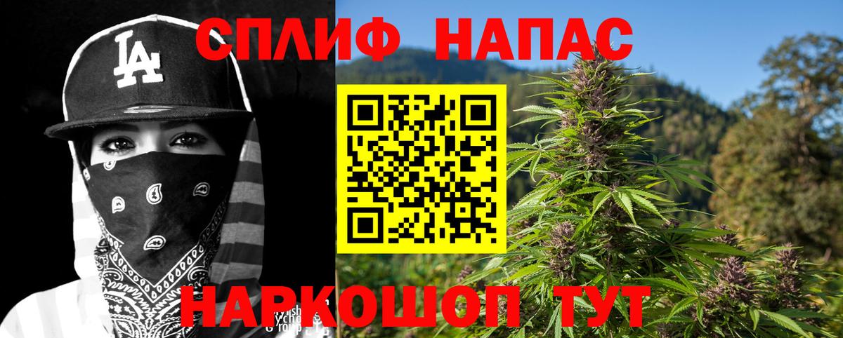 Кимовск  Бошки марихуана White Widow  Бошки марихуана THC 21%  Бошки марихуана тримм  Вход с VPN  Каннабис SATIVA & INDICA 